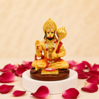 Sankat Mochan Hanuman Sitting Idol